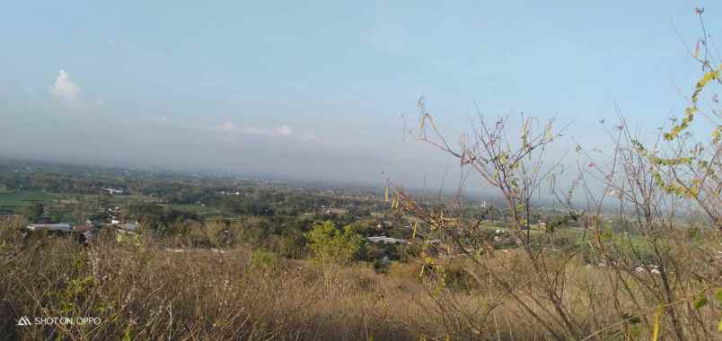 tanah lokasi strategis luas 15 ha dijual di kademangan