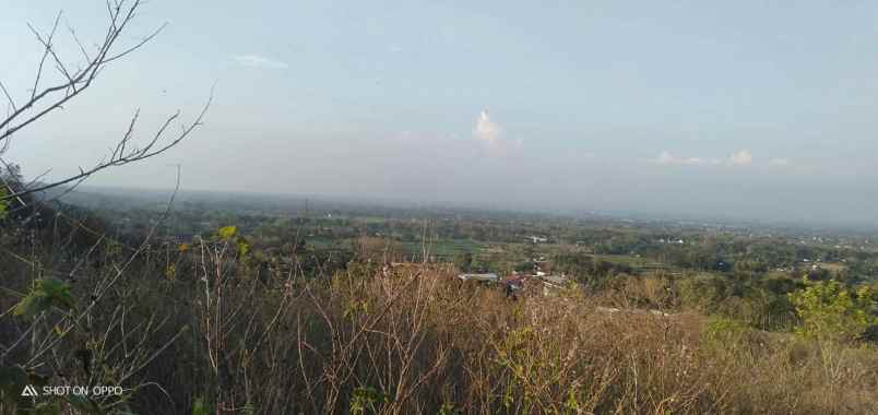 tanah lokasi strategis luas 15 ha dijual di kademangan