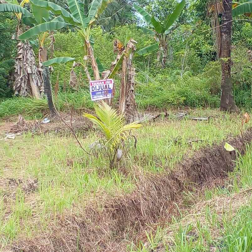 tanah luas 330m koto tangah padang lokasi strategis