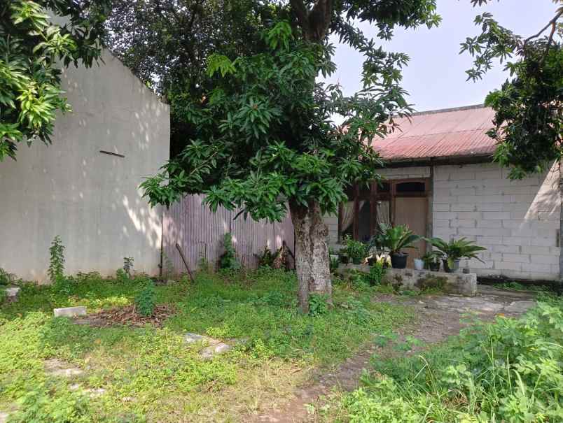 tanah luas prospek untuk kos atau hunian yang nyaman