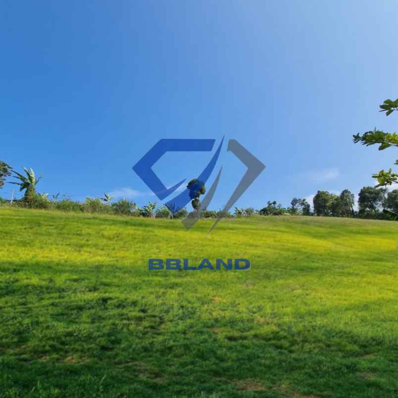 tanah murah di lembang cocok untuk villa dan kebun