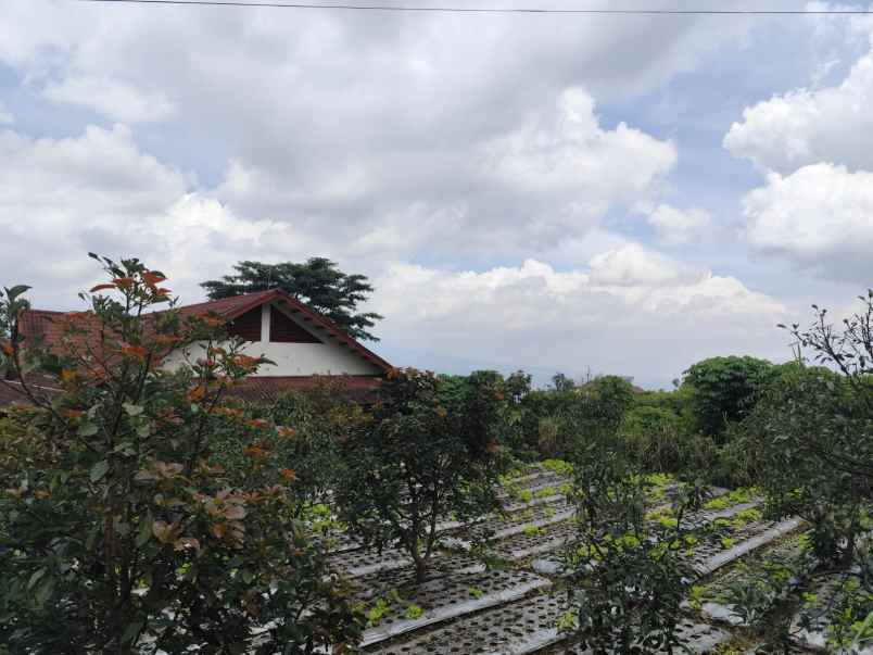 tanah strategis bagus untuk investasi di kota batu