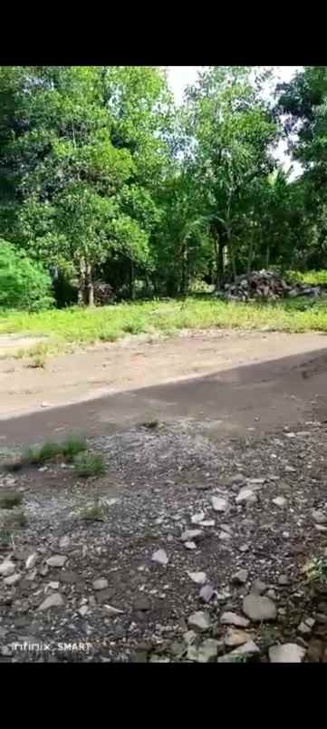 tanah strategis pinggir jl desa