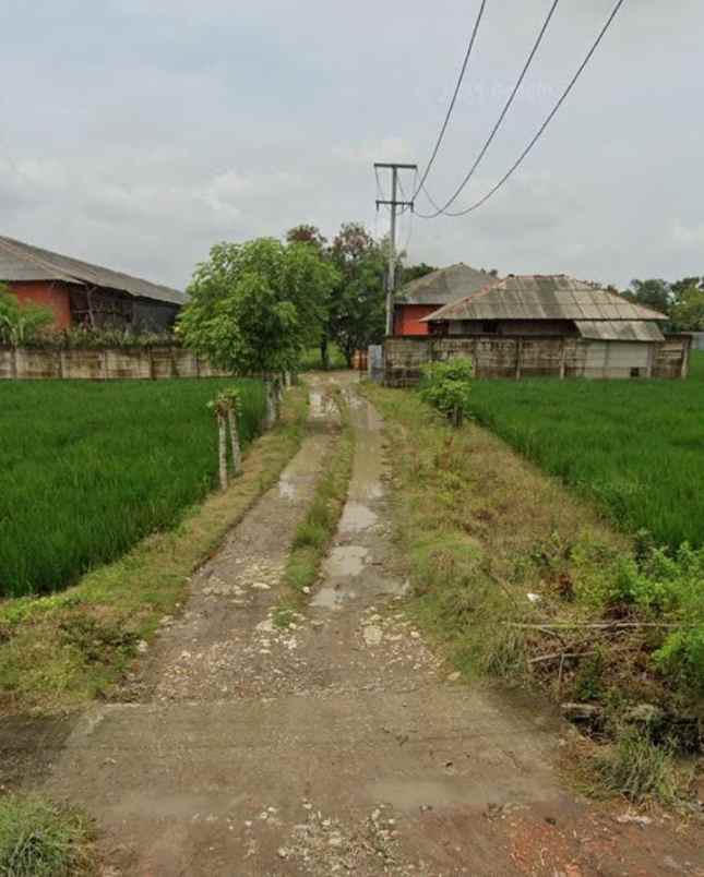 tanah untuk perumahan pinggir jalan desa mukriwari