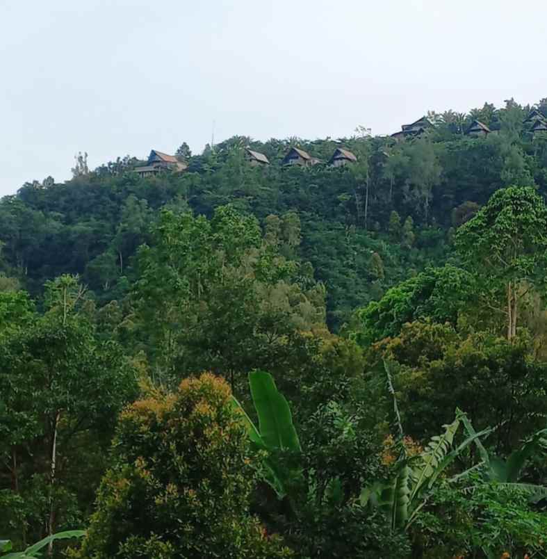 tanah view gunung dan lembah di munduk singaraja bali