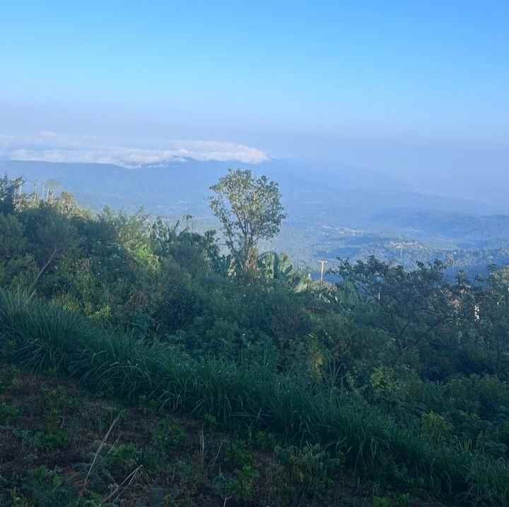 tanah view gunung dan lembah di munduk singaraja bali
