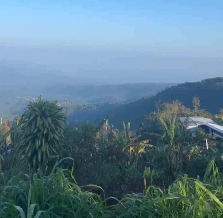 tanah view gunung dan lembah di munduk singaraja bali