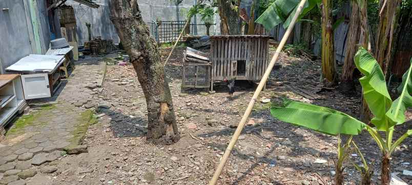 beli tanah bous rumah