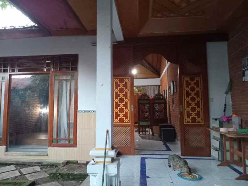 dijual 5 are free rumah lama jl sakura suli denpasar