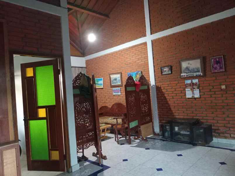 dijual 5 are free rumah lama jl sakura suli denpasar