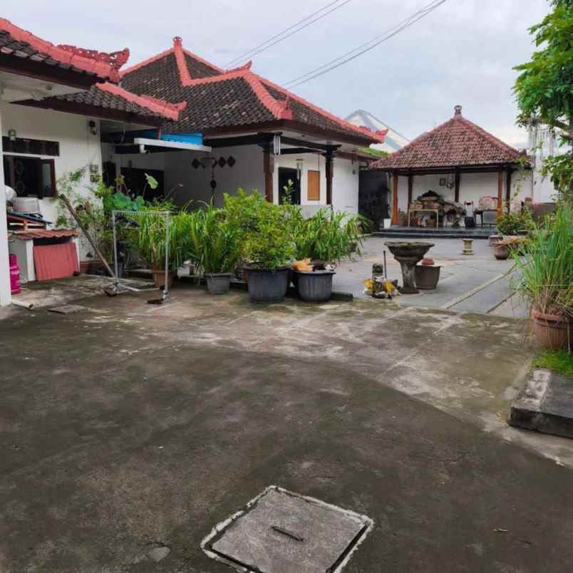 dijual 5 are free rumah lama jl sakura suli denpasar