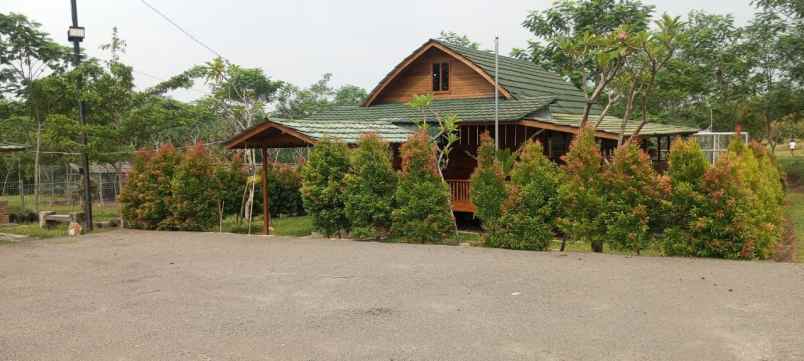 dijual kebun durian premium villa eksklusif siap panen