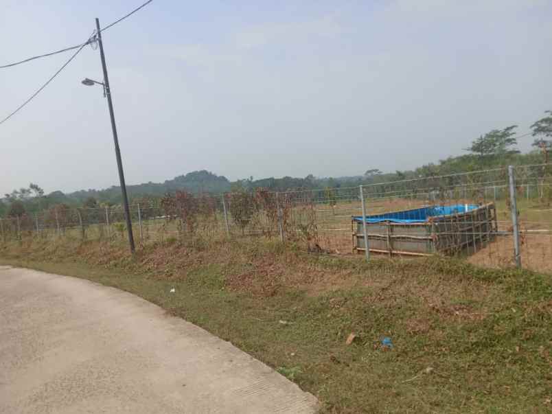 dijual kebun durian premium villa eksklusif siap panen