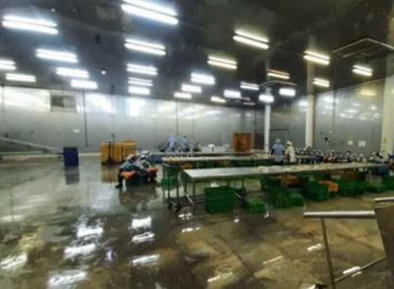 dijual ruko gudang kantor jl raya rembang