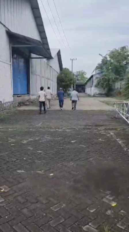 dijual ruko gudang kantor jl raya wonorejo coban