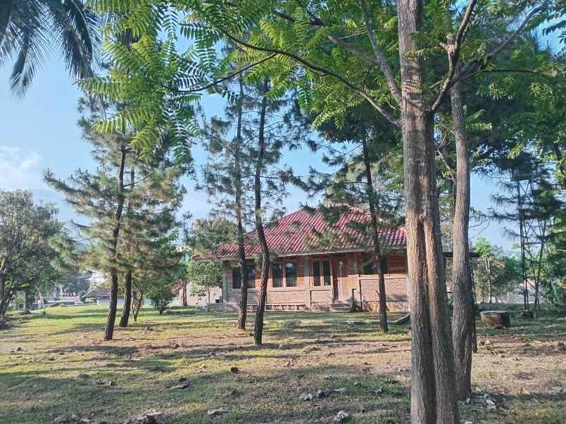 dijual rumah dan kebun