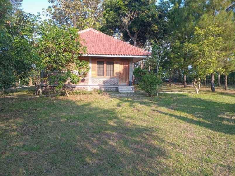 dijual rumah dan kebun
