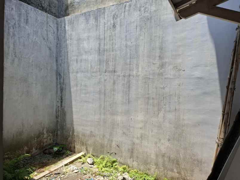 dijual rumah di dekat kampus uin jember