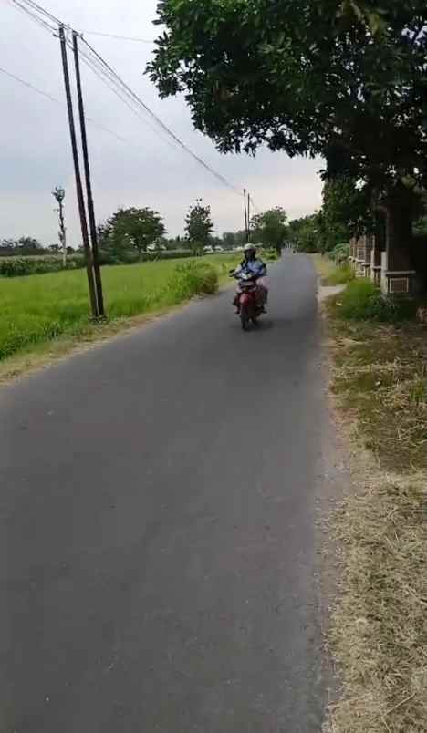 dijual rumah dijual rumah di pinggir