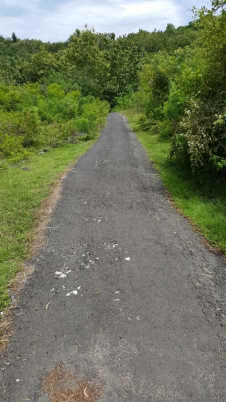 dijual rumah sukolilo dian regency