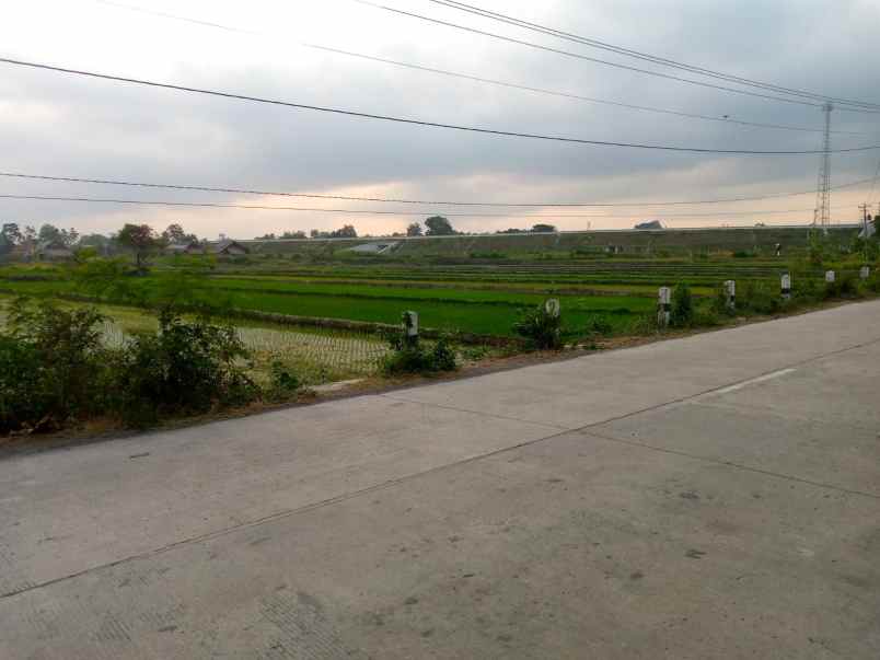 dijual sawah hijau kebonarum mangku jln klaten ngupit