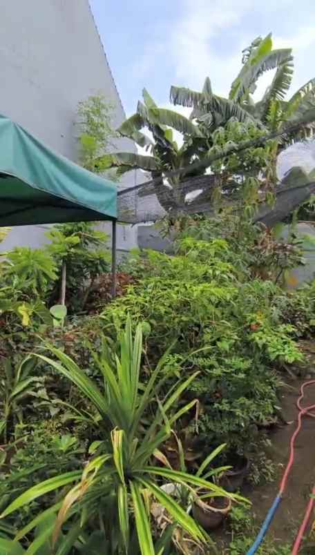 dijual tanah 8 bintara jaya bekasi barat