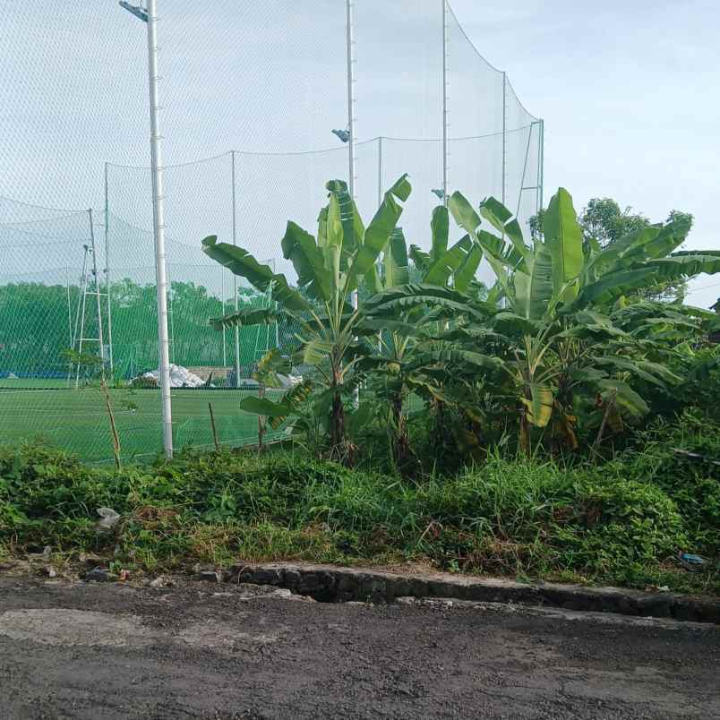 dijual tanah badak agung