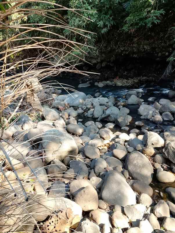 dijual tanah banjar dinas munduk desa