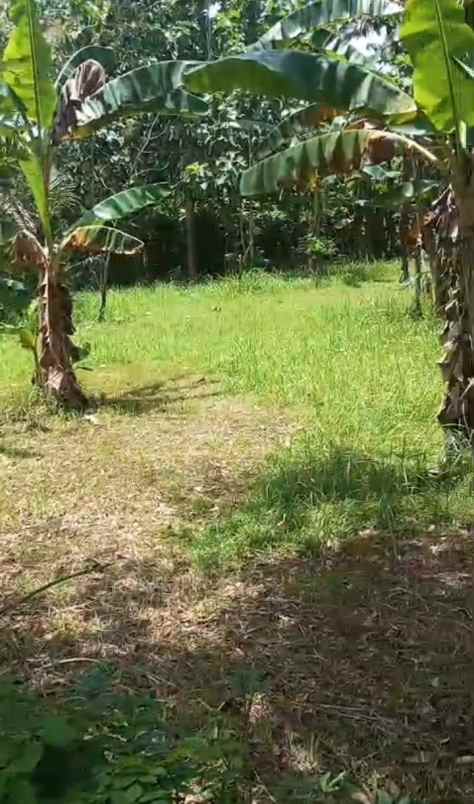 dijual tanah banyubiru kec semarang kab semarang