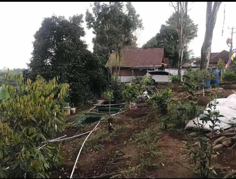 dijual tanah bojong purwakarta