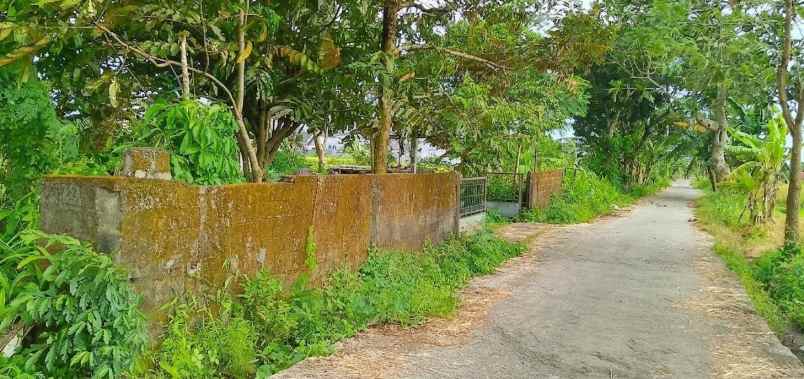 dijual tanah bromonilan purwomartani