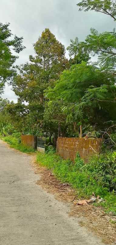 dijual tanah bromonilan purwomartani