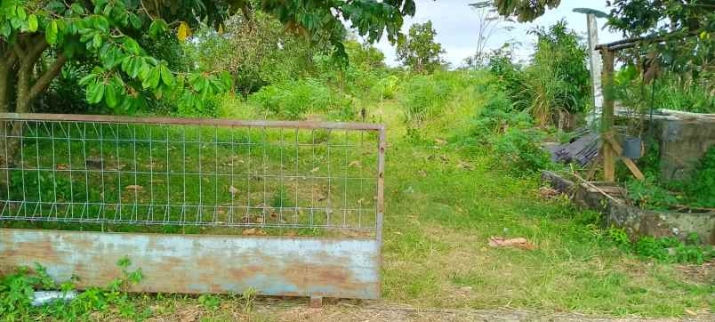 dijual tanah bromonilan purwomartani