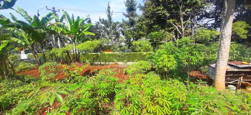 dijual tanah bukit pakar timur