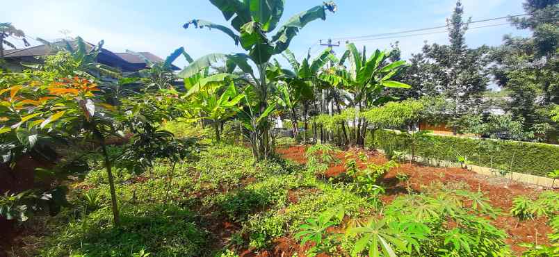 dijual tanah bukit pakar timur