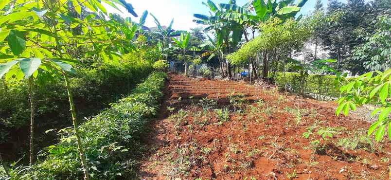 dijual tanah bukit pakar timur