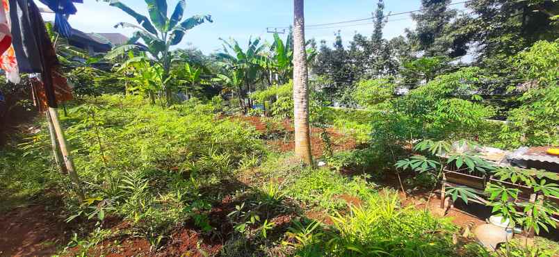 dijual tanah bukit pakar timur