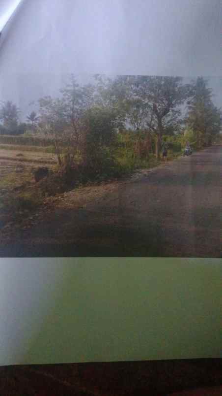 dijual tanah cepat di semawung sumberejo tempel