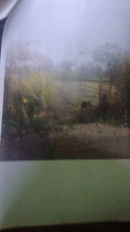 dijual tanah cepat di semawung sumberejo tempel