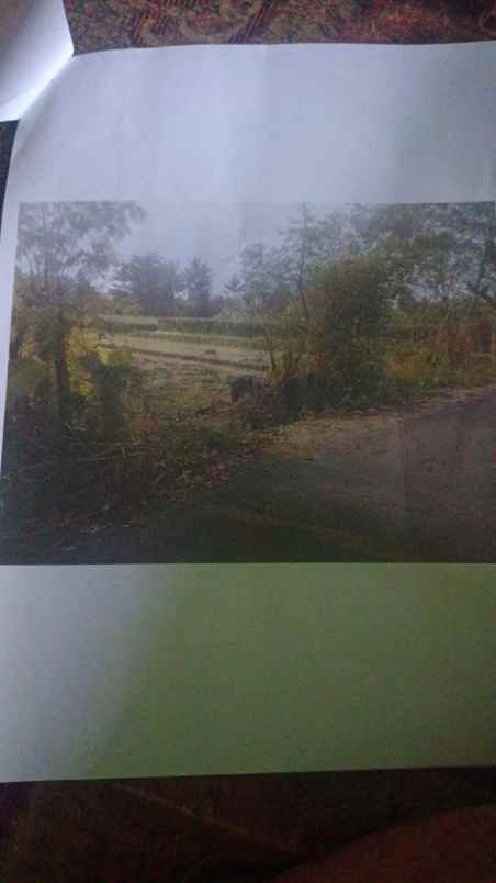 dijual tanah cepat di semawung sumberejo tempel