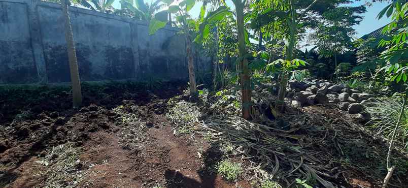 dijual tanah cibeunying