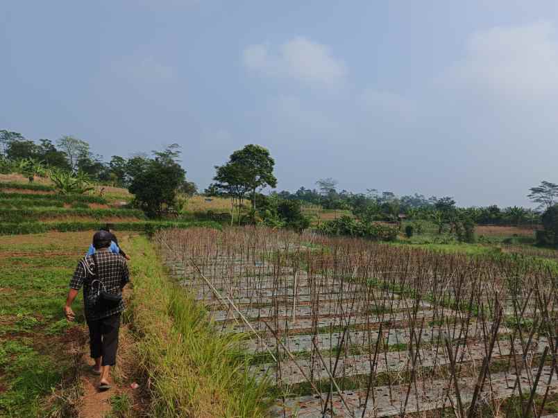 dijual tanah desa darangdan