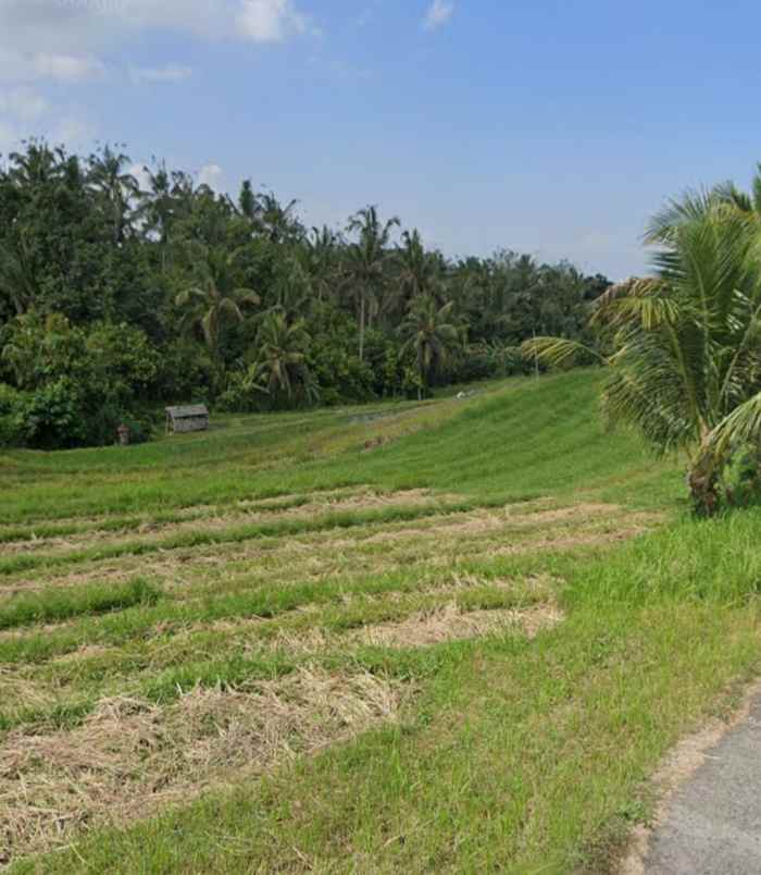 dijual tanah desa lumbung selemadeg