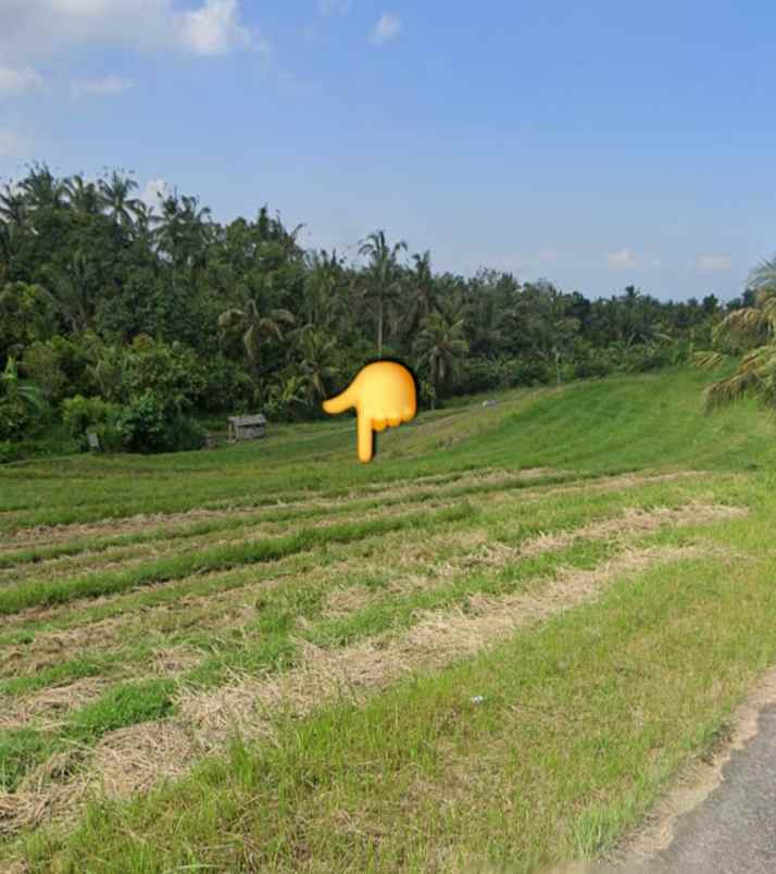 dijual tanah desa lumbung selemadeg