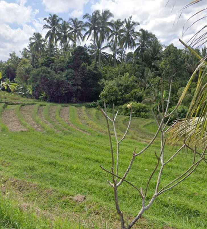 dijual tanah desa lumbung selemadeg