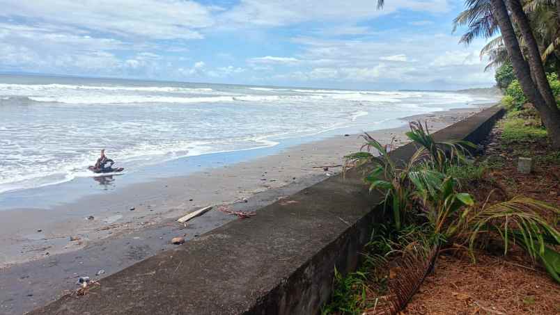 dijual tanah desa pengragoan kec