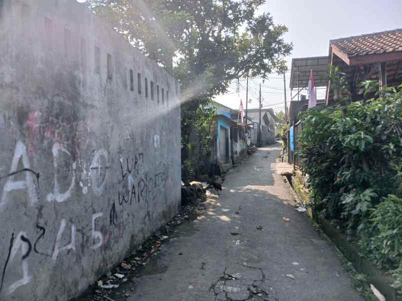 dijual tanah di ciomas bogor