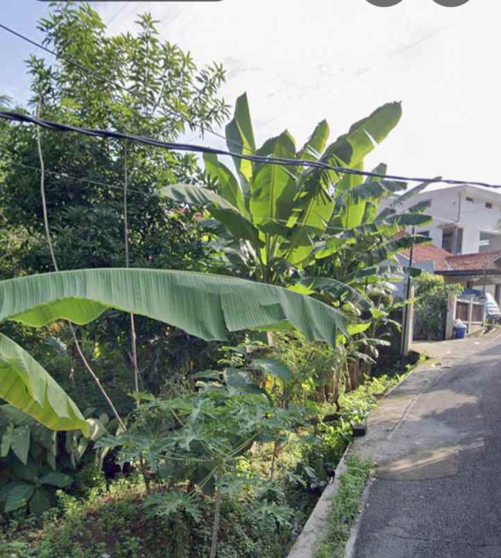 dijual tanah di jangli semarang