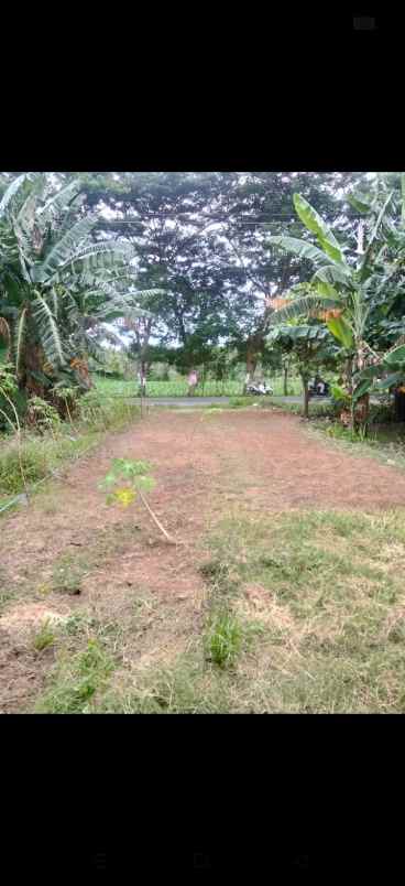 dijual tanah dijual tanah di