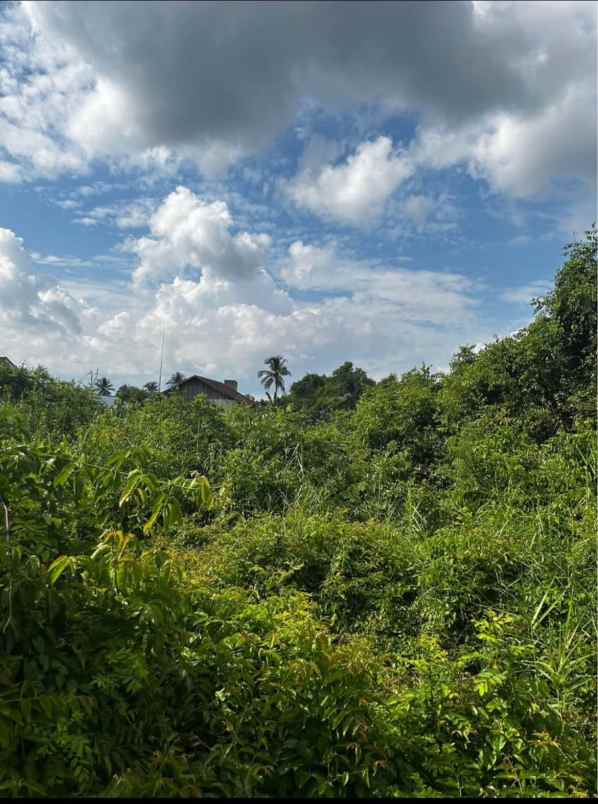 dijual tanah dijual tanah di gg h